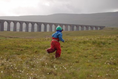 Ribblehead Viaduct