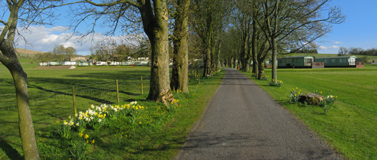 Along Greenwood Leghe drive